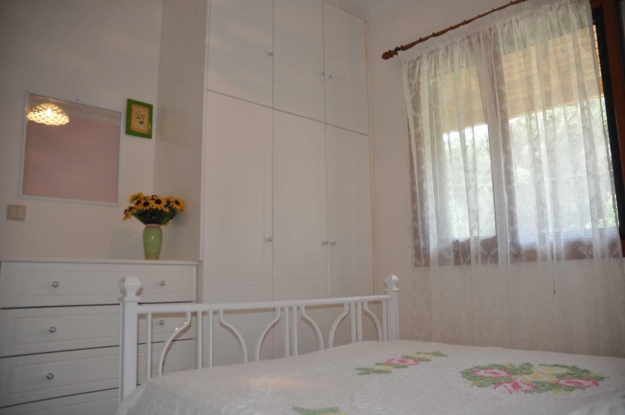 Areti'S Apartment Агиос Георгиос Пагон Екстериор снимка